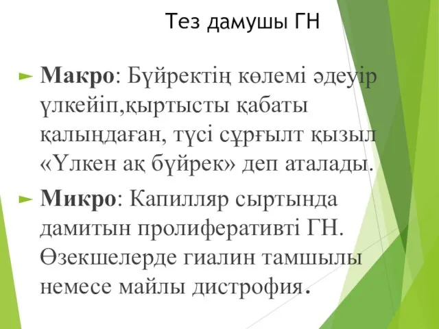 Тез дамушы ГН Макро: Бүйректің көлемі әдеуір үлкейіп,қыртысты қабаты қалыңдаған, түсі