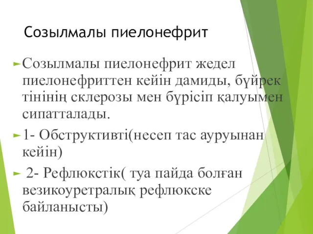 Созылмалы пиелонефрит Созылмалы пиелонефрит жедел пиелонефриттен кейін дамиды, бүйрек тінінің склерозы