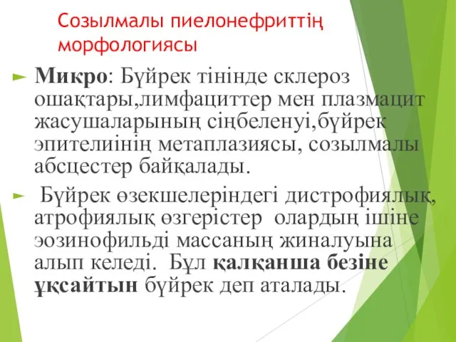 Созылмалы пиелонефриттің морфологиясы Микро: Бүйрек тінінде склероз ошақтары,лимфациттер мен плазмацит жасушаларының