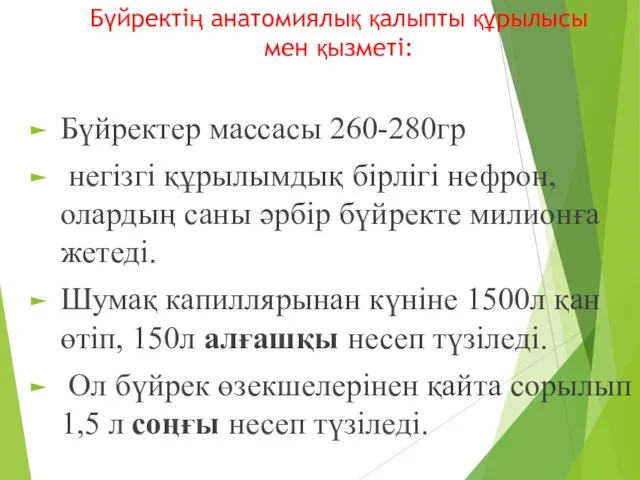 Бүйректің анатомиялық қалыпты құрылысы мен қызметі: Бүйректер массасы 260-280гр негізгі құрылымдық