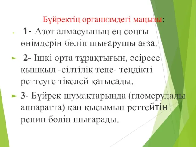 Бүйректің организмдегі маңызы: 1- Азот алмасуының ең соңғы өнімдерін бөліп шығарушы