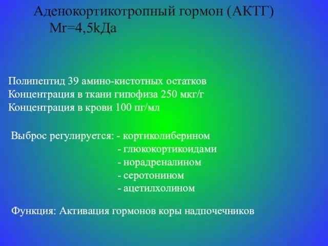 Аденокортикотропный гормон (АКТГ) Mr=4,5kДа Полипептид 39 амино-кистотных остатков Концентрация в ткани