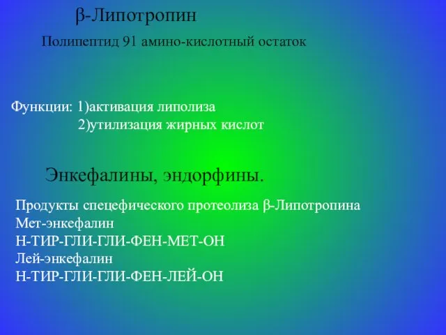 β-Липотропин Полипептид 91 амино-кислотный остаток Функции: 1)активация липолиза 2)утилизация жирных кислот