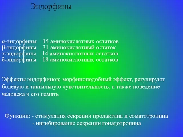 Эндорфины α-эндорфины 15 аминокислотных остатков β-эндорфины 31 аминокислотный остаток γ-эндорфины 14