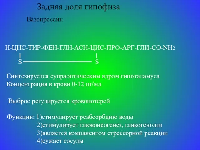 Задняя доля гипофиза Вазопрессин Н-ЦИС-ТИР-ФЕН-ГЛН-АСН-ЦИС-ПРО-АРГ-ГЛИ-CO-NH2 S S Синтезируется супраоптическим ядром гипоталамуса