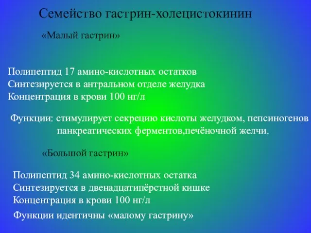 Семейство гастрин-холецистокинин «Малый гастрин» Полипептид 17 амино-кислотных остатков Синтезируется в антральном