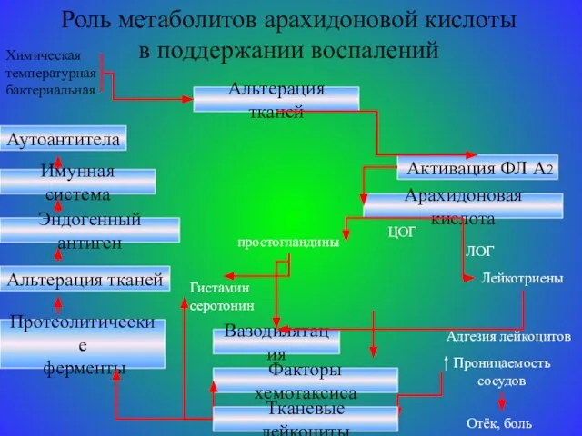 Роль метаболитов арахидоновой кислоты в поддержании воспалений Альтерация тканей Химическая температурная