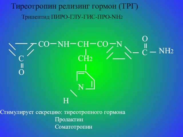 Тиреотропин релизинг гормон (ТРГ) Трипептид ПИРО-ГЛУ-ГИС-ПРО-NH2 C O CO NH CH