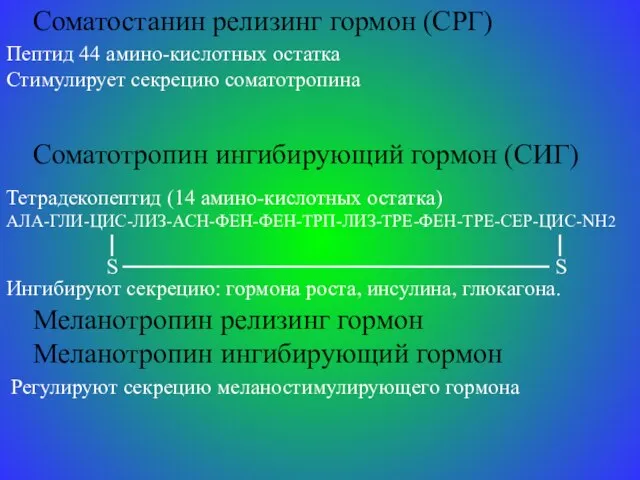 Соматостанин релизинг гормон (СРГ) Пептид 44 амино-кислотных остатка Стимулирует секрецию соматотропина