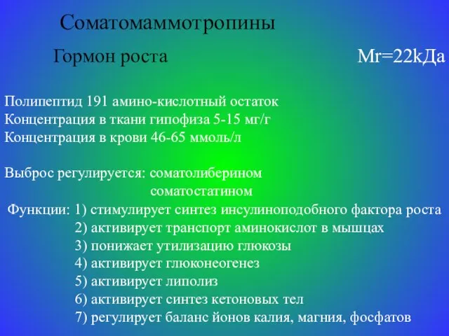 Соматомаммотропины Гормон роста Mr=22kДа Полипептид 191 амино-кислотный остаток Концентрация в ткани