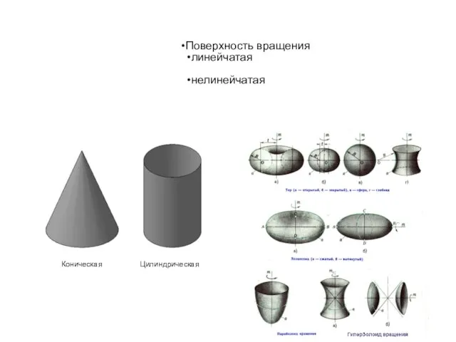 Поверхность вращения линейчатая нелинейчатая Коническая Цилиндрическая