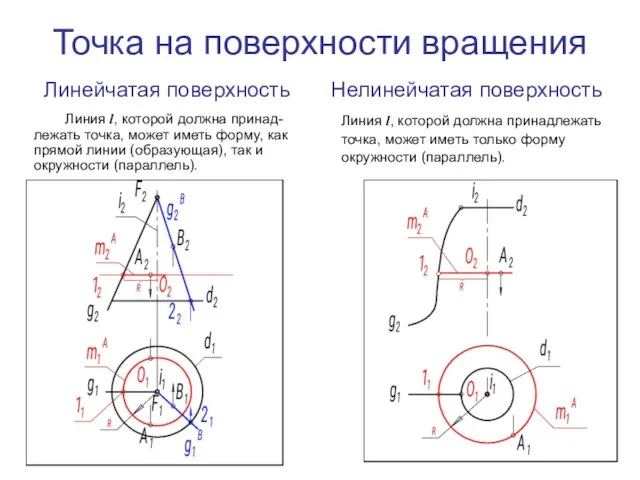 Точка на поверхности вращения Линия l, которой должна принад-лежать точка, может