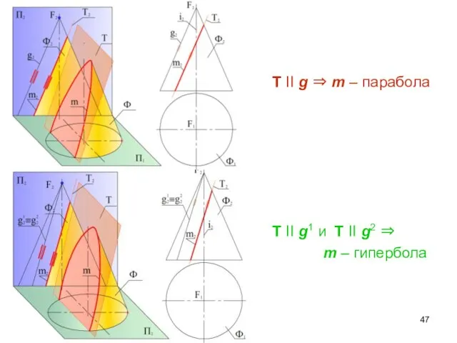 T II g ⇒ m – парабола T II g1 и