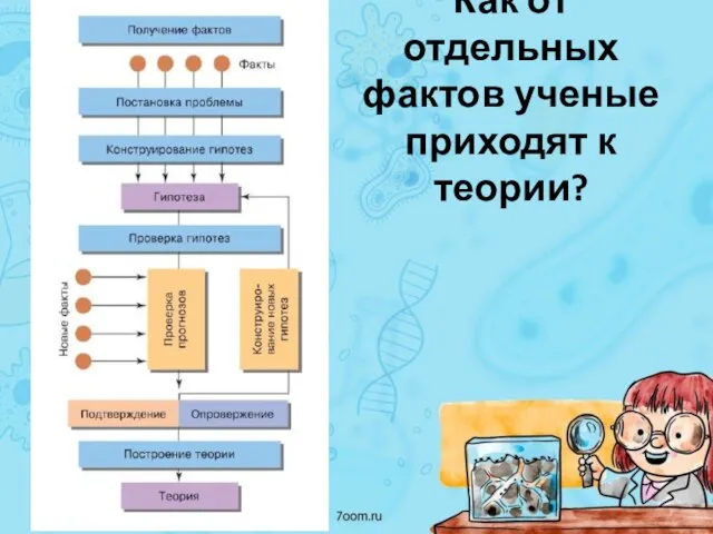 Как от отдельных фактов ученые приходят к теории?