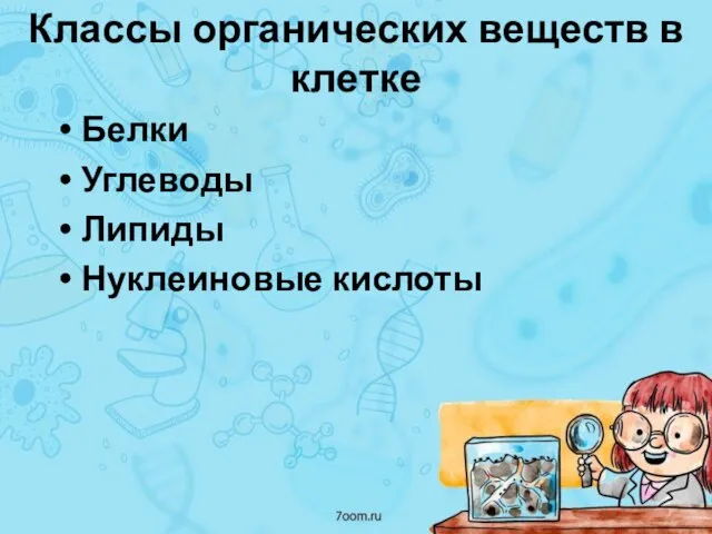 Классы органических веществ в клетке Белки Углеводы Липиды Нуклеиновые кислоты