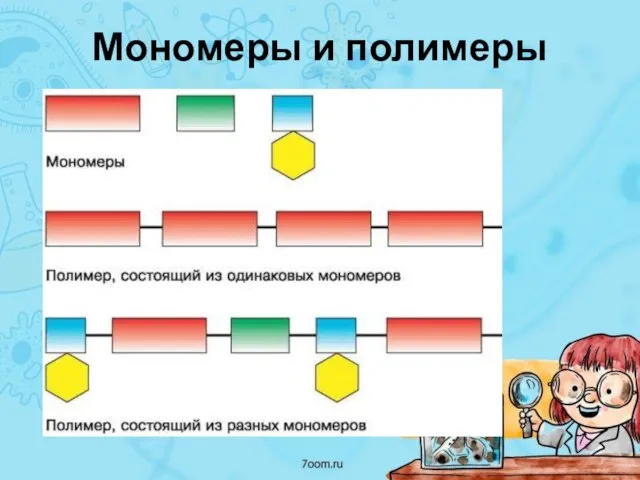 Мономеры и полимеры