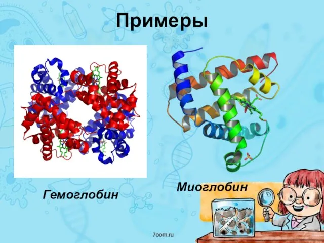 Примеры Гемоглобин Миоглобин