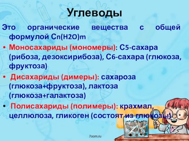 Углеводы Это органические вещества с общей формулой Сn(H2O)m Моносахариды (мономеры): С5-сахара