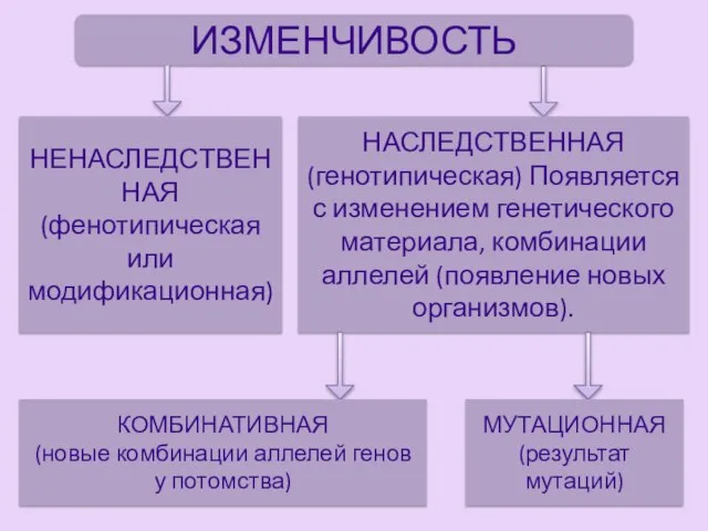 ИЗМЕНЧИВОСТЬ НАСЛЕДСТВЕННАЯ (генотипическая) Появляется с изменением генетического материала, комбинации аллелей (появление