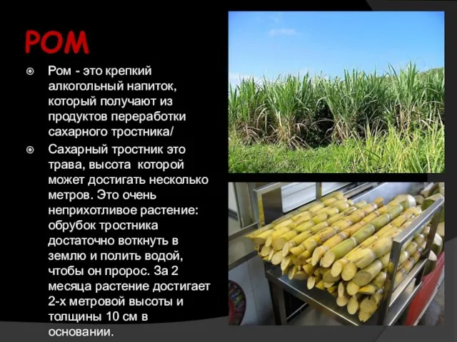 РОМ Ром - это крепкий алкогольный напиток, который получают из продуктов