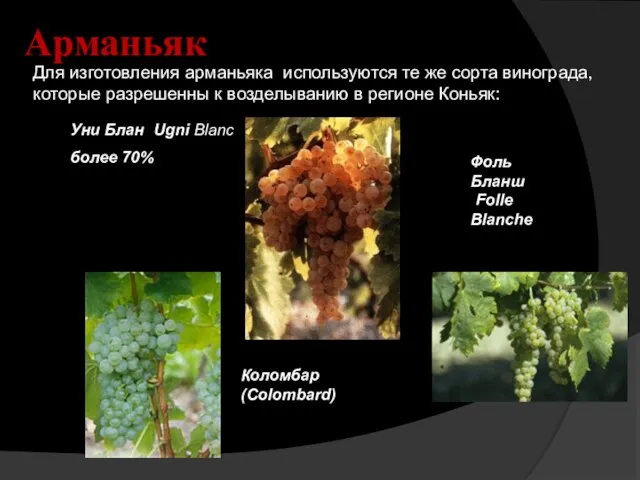 Арманьяк Для изготовления арманьяка используются те же сорта винограда, которые разрешенны