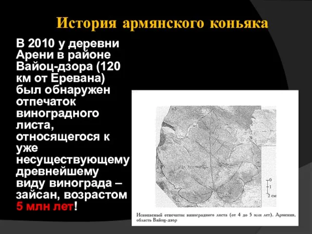 История армянского коньяка В 2010 у деревни Арени в районе Вайоц-дзора