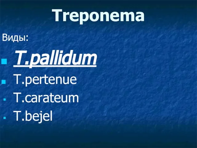 Treponema Виды: T.pallidum T.pertenue T.carateum T.bejel