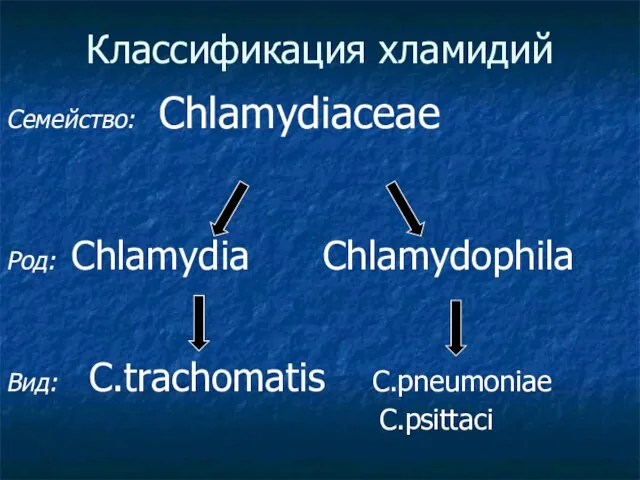 Классификация хламидий Семейство: Chlamydiaceae Род: Chlamydia Chlamydophila Вид: C.trachomatis C.pneumoniae C.psittaci