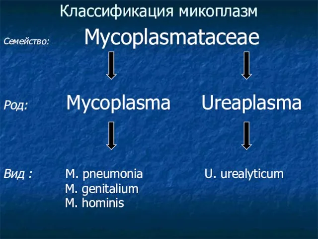 Классификация микоплазм Семейство: Mycoplasmataceae Род: Mycoplasma Ureaplasma Вид : M. pneumonia