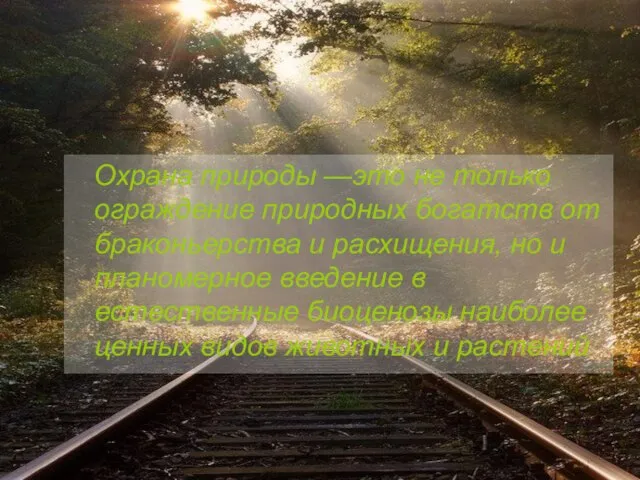 Охрана природы —это не только ограждение природных богатств от браконьерства и