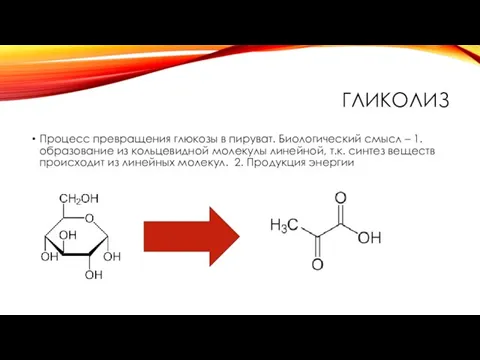 ГЛИКОЛИЗ Процесс превращения глюкозы в пируват. Биологический смысл – 1. образование