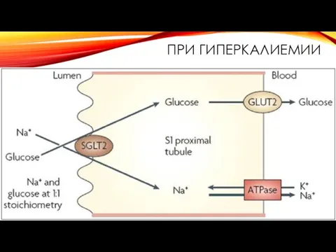 ПРИ ГИПЕРКАЛИЕМИИ