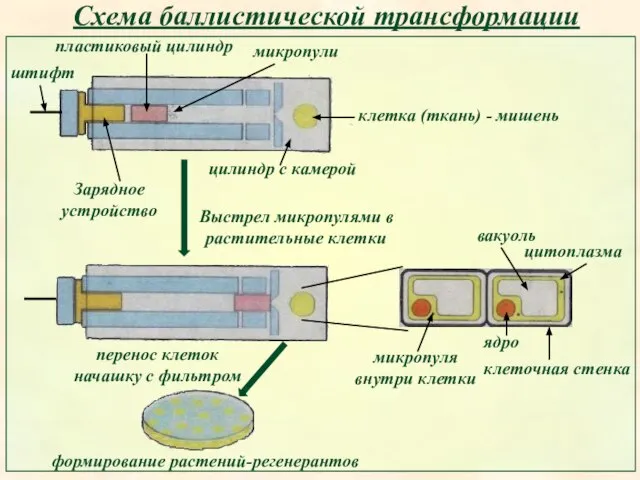 Схема баллистической трансформации