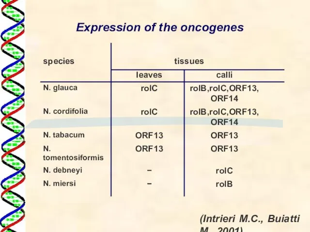 Expression of the oncogenes (Intrieri M.C., Buiatti M., 2001)