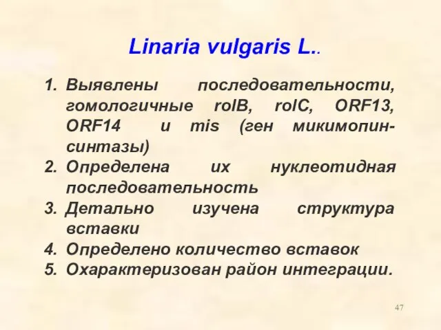 Выявлены последовательности, гомологичные rolB, rolC, ORF13, ORF14 и mis (ген микимопин-синтазы)