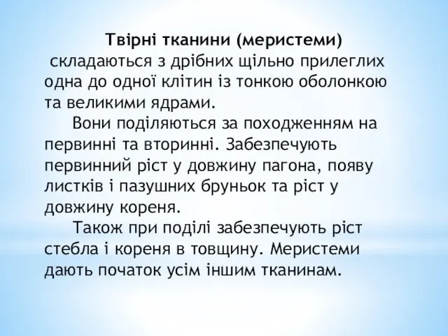 Твірні тканини (меристеми) складаються з дрібних щільно прилеглих одна до одної