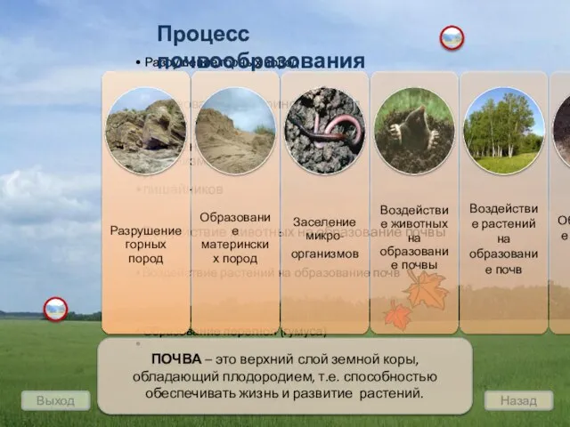 Разрушение горных пород Образование материнских пород Заселение микро- Организмов И лишайников