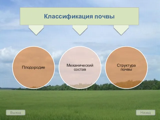 Выход Назад Плодородие Механический состав Структура почвы Классификация почвы