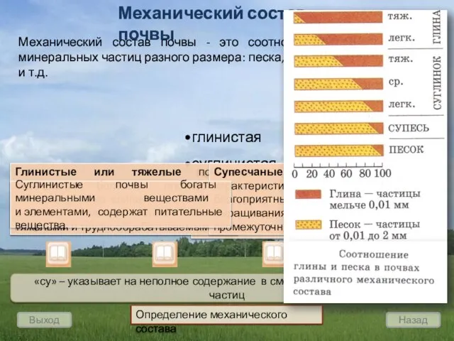 Выход Назад Механический состав почвы Механический состав почвы - это соотношение