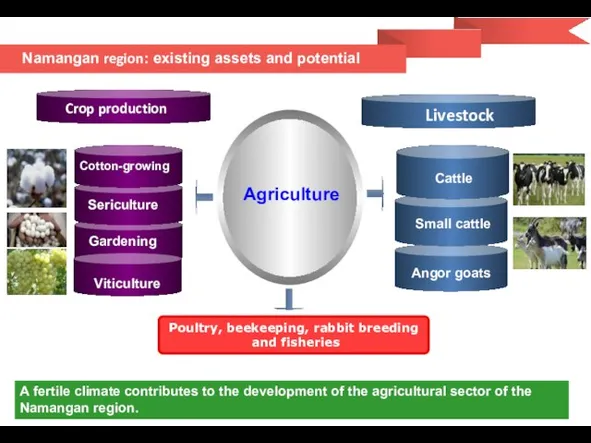 A fertile climate contributes to the development of the agricultural sector