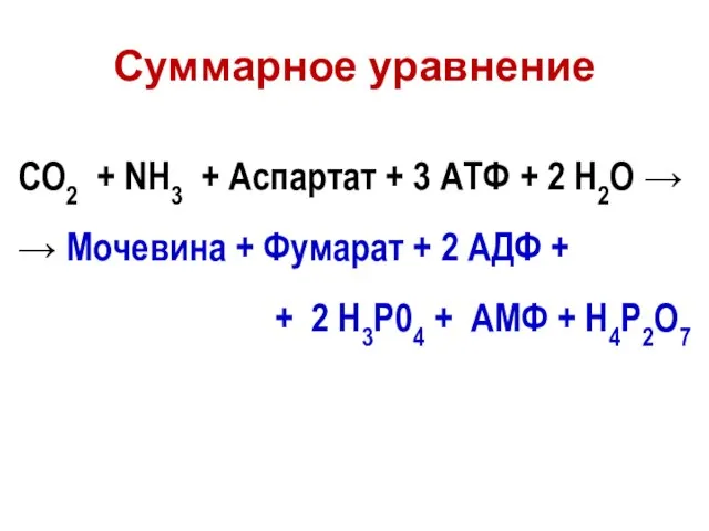 Суммарное уравнение СО2 + NH3 + Аспартат + 3 АТФ +