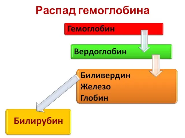 Распад гемоглобина