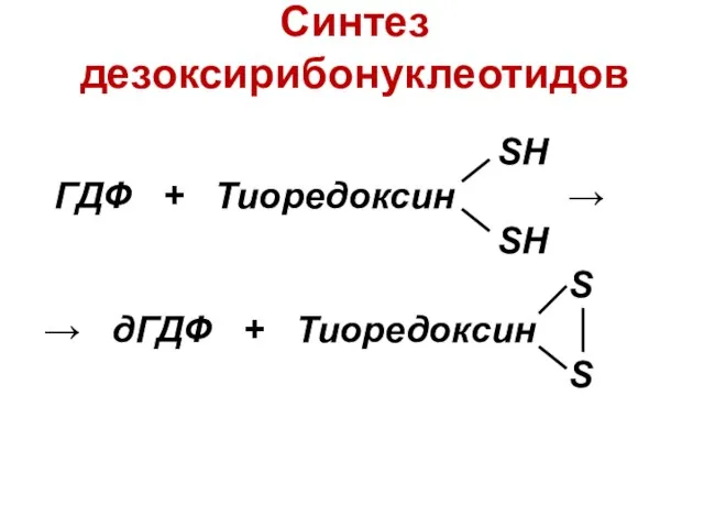 SН ГДФ + Тиоредоксин → SН S → дГДФ + Тиоредоксин S Синтез дезоксирибонуклеотидов