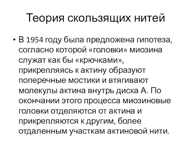 Теория скользящих нитей В 1954 году была предложена гипотеза, согласно которой