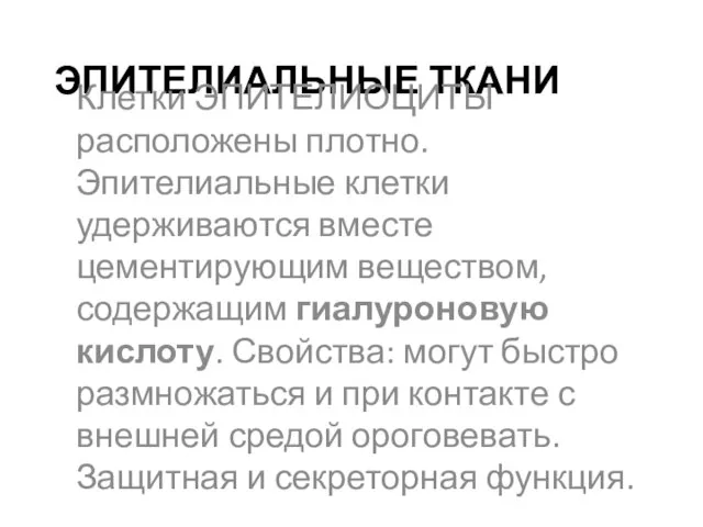 ЭПИТЕЛИАЛЬНЫЕ ТКАНИ Клетки ЭПИТЕЛИОЦИТЫ расположены плотно. Эпителиальные клетки удерживаются вместе цементирующим