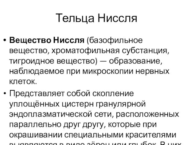 Тельца Ниссля Вещество Ниссля (базофильное вещество, хроматофильная субстанция, тигроидное вещество) —