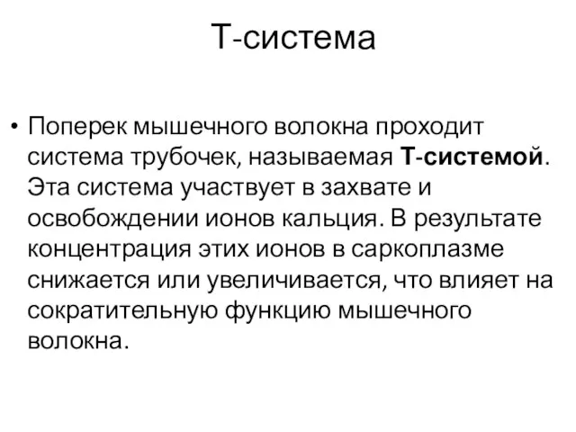 Т-система Поперек мышечного волокна проходит система трубочек, называемая Т-системой. Эта система