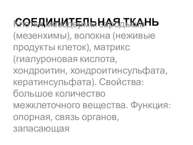 СОЕДИНИТЕЛЬНАЯ ТКАНЬ Клетки мезодермы зародыша (мезенхимы), волокна (неживые продукты клеток), матрикс