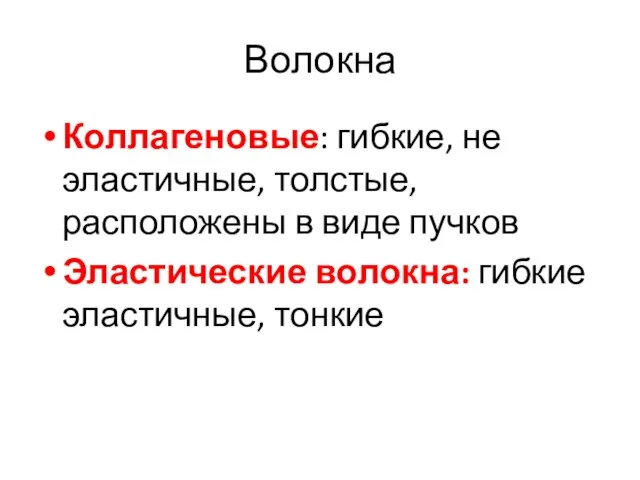 Волокна Коллагеновые: гибкие, не эластичные, толстые, расположены в виде пучков Эластические волокна: гибкие эластичные, тонкие