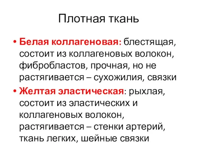 Плотная ткань Белая коллагеновая: блестящая, состоит из коллагеновых волокон, фибробластов, прочная,